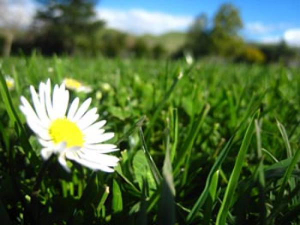 بالفيديو ....لماذا تزوج رسول الله صلى الله عليه وسلم تسع نساء ؟