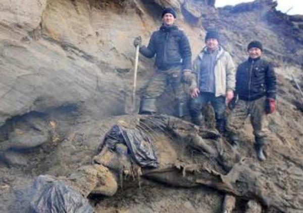 الكشف عن هيكل أقدم فيل في العالم عمره 40 مليون سنة في الفيوم