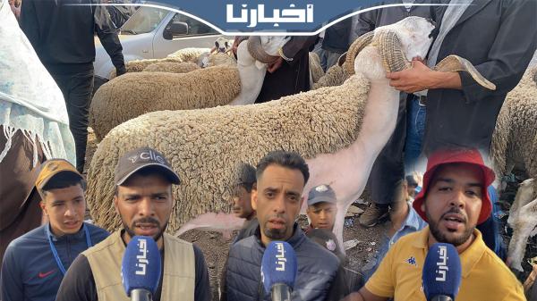 مواطنون بسوق الأضاحي بسطات: الدرويش غير كيدور مقادش يشري