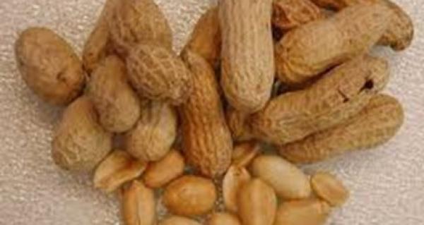 تناول الفول السوداني يحسن وظائف الأوعية الدموية