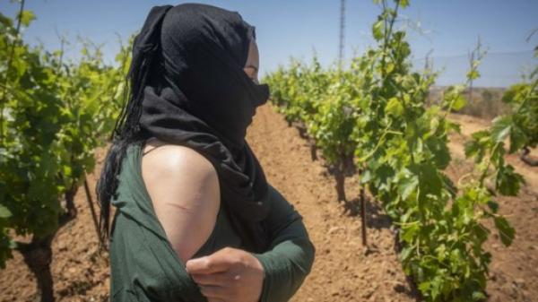 وزارة الشغل: لم تثبت أية حالة تحرش جنسي على العاملات المغربيات باستثناء هذه الحالة