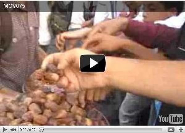 حركة 20 فبراير توزع الحلوى