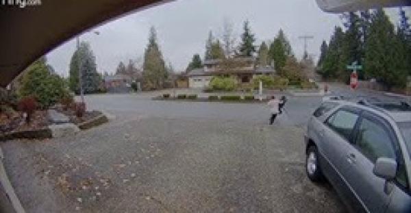 سيدة تمسك بلصة بعد سقوطها (فيديو)