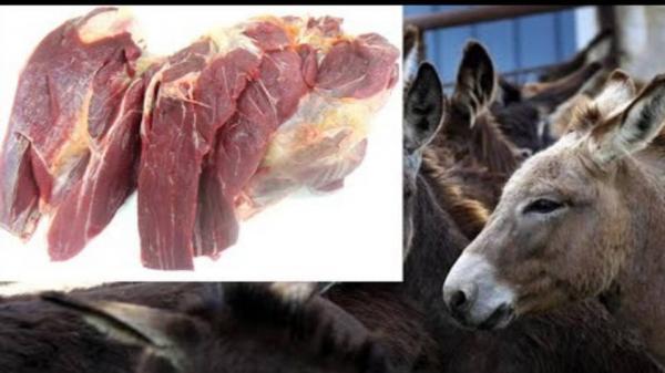 فاس: السلطات المحلية تطيح "بجزار" يبيع لحم الحمير للمواطنين