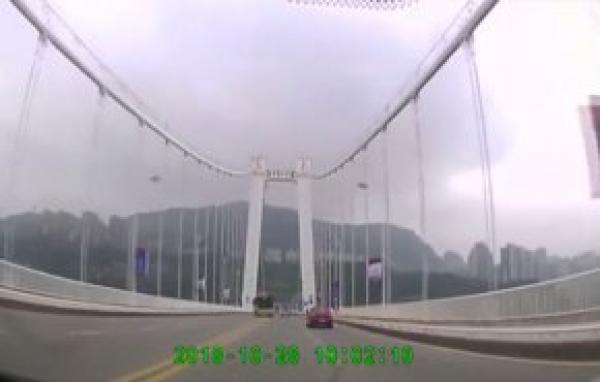 شاهد.. ملاسنة بين سائق حافلة وراكبة  ينتهي بمصرع جميع الركاب. !!