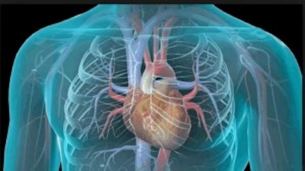 نصائح هامة لتجنب خطر الذبحة القلبية