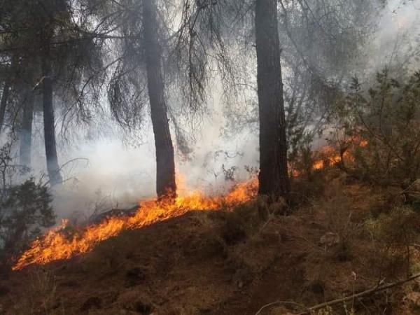 عاجل..اندلاع حريق مهول ضواحي دمنات وتدخل بطولي للوقاية المدنية والسلطات وشباب المنطقة