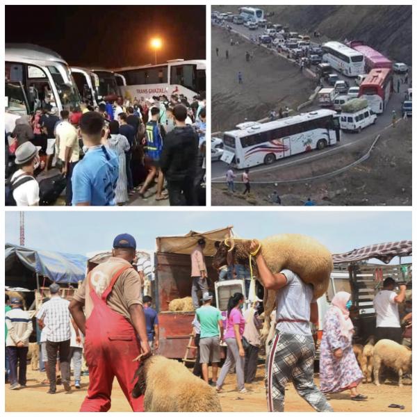 هل احتفل المغاربة كعادتهم بالعيد "الكبير" في ظل أجواء كورونا؟