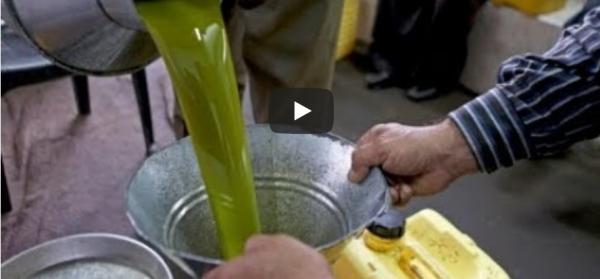 كيف تفرق بين زيت الزيتون الأصلي و المغشوش.. كن حذرا !