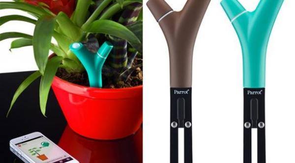 الكشف عن جهاز جديد يستخدم لـ "فهم لغة النبات"