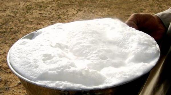 دراسة : حليب الإبل يخفف أعراض مرض التوحد