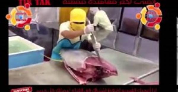 بالفيديو.. عامل يقطع سمكة عملاقة في أقل من دقيقة