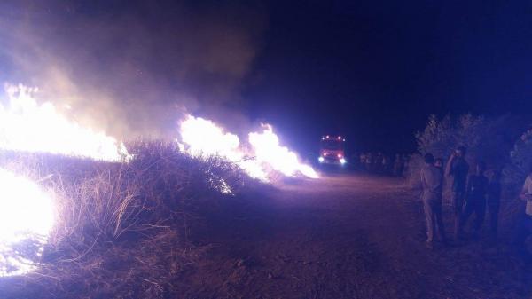 حريق يلتهم مساحة كبيرة بمقبرة والوقاية المدنية تستنفر عناصرها