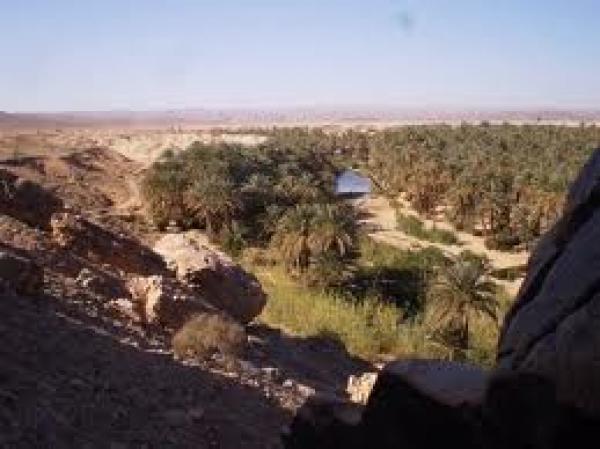 كلميم :الأمن يتدخل بقوة لفض معتصم بواحة تغمرت