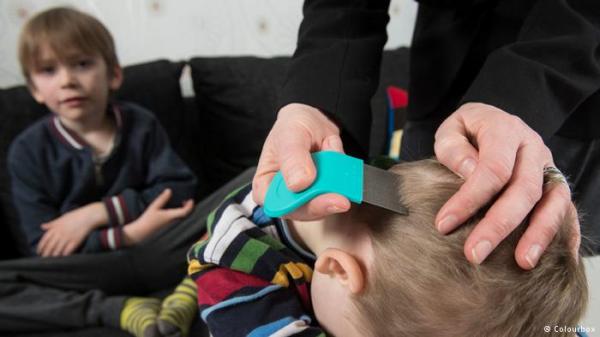 هل غزا "القمل" فعلا المدارس المغربية ؟