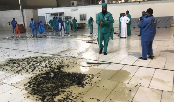 بالفيديو...آلاف الصراصير تغزو الحرم المكي وتمنع الزوار من الصلاة به