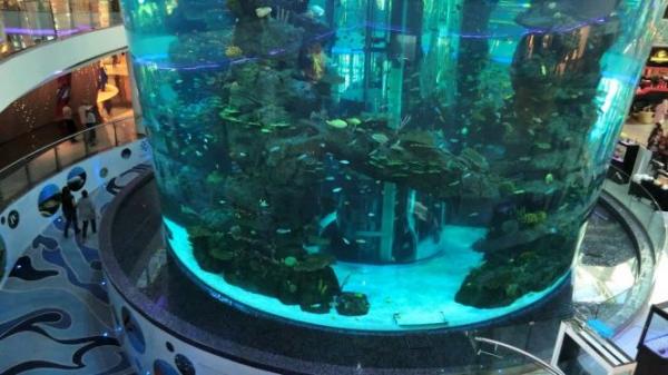 معطيات جديدة حول صافرات الإنذار التي زرعت الذعر في رواد "موروكو مول"