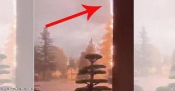 ضربة "برق" تحول شجرة إلى كتلة من اللهب