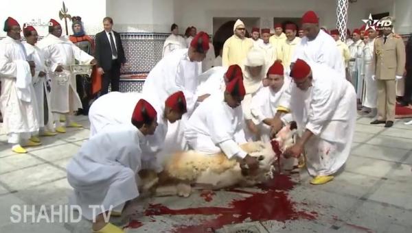 لحظة ذبح الملك محمد السادس أضحية العيد بمسجد أهل فاس بالرباط