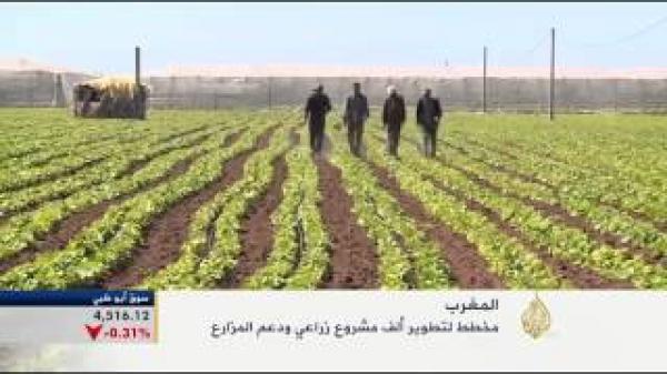 مخطط لتطوير ألف مشروع زراعي بالمغرب