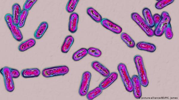 إنجاز علمي بارز.. تطوير بكتيريا تتغذى على ثاني أكسيد الكربون