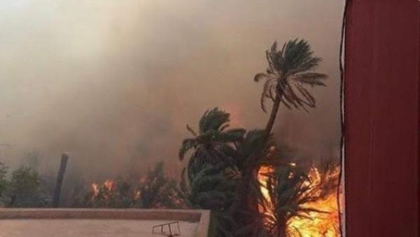 حريق تفراوت يتسبب في حرق 5 هكتارات و أكتر من 1500 نخلة و زيتون