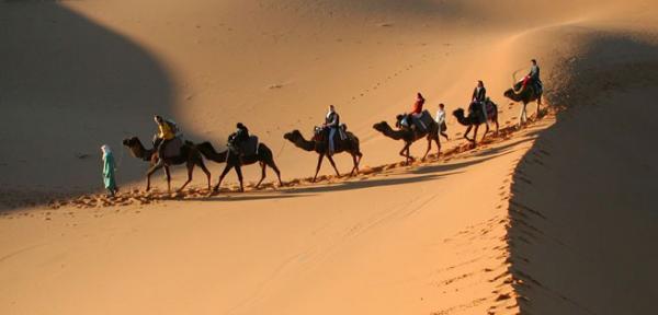 بعد إفريقيا..دول من أمريكا اللاتينية تراجع موقفها من قضية الصحراء وتدعم المقترح المغربي والبوليساريو في ورطة