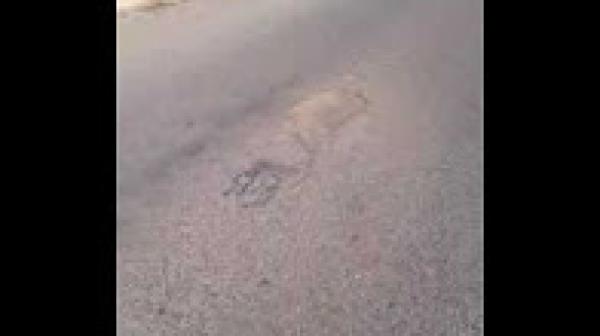 أول رسالة نارية من فاضح الزفت الى العثماني بعد خطابه بالبرلمان