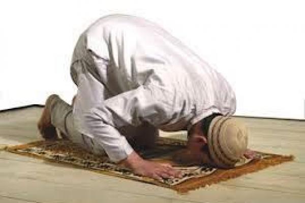 ما حكم الحركة في الصلاة ؟