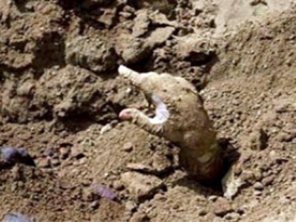 زوجة تعود من الموت وتستنجد بضابط فى مقبرة مظلمة (+فيديو) 