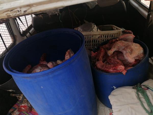 الدرك الملكي يضبط سيارة محملة بنصف طن من اللحوم الفاسدة كانت موجهة لبطون المواطنين 