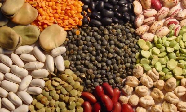 انقطاع الطمث المبكر: البروتينات النباتية تقيك منه