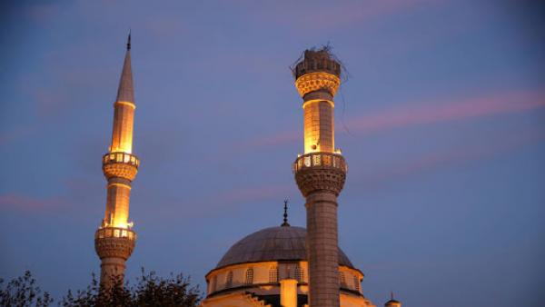 الإفتاء المصرية: الصيام يقوي المناعة ضد "كورونا"