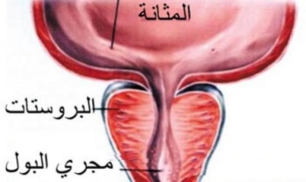  الحياة بعد جراحة البروستاتا أسوأ مما يتوقع الرجال عندما تنخفض الوظيفة الجنسية 