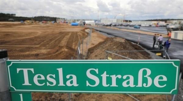 تعثر  إنشاء مصنع "تيسلا" في برلين بسبب السحالي والأفاعي