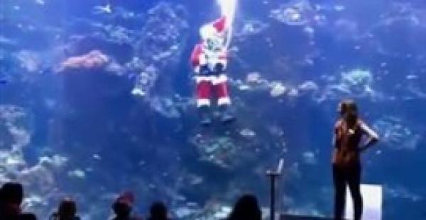 بالفيديو والصور.. بابا نويل يفاجئ رواد متحف بالغوص في حوض مياه