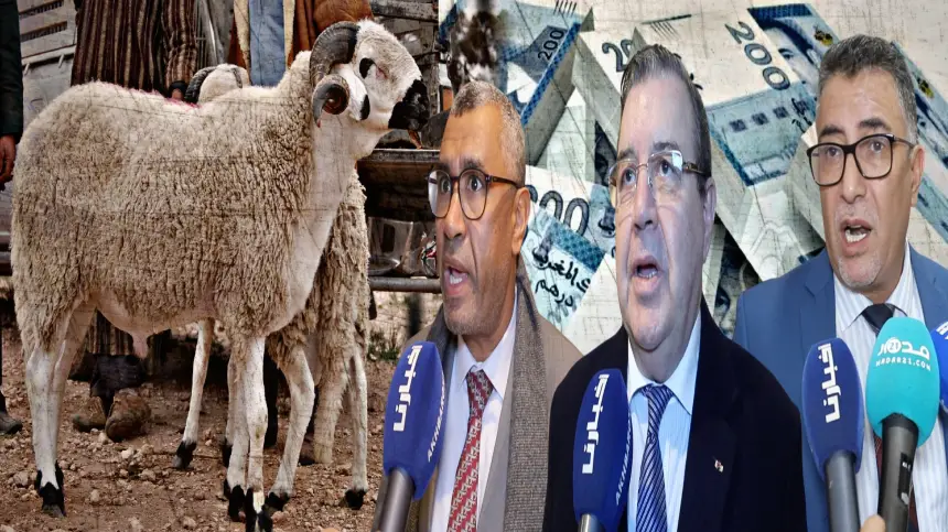 رسميا.. المعارضة تطالب بتشكيل لجنة لتقصي الحقائق حول المليارات التي وزعت على مستوردي أضاحي العيد