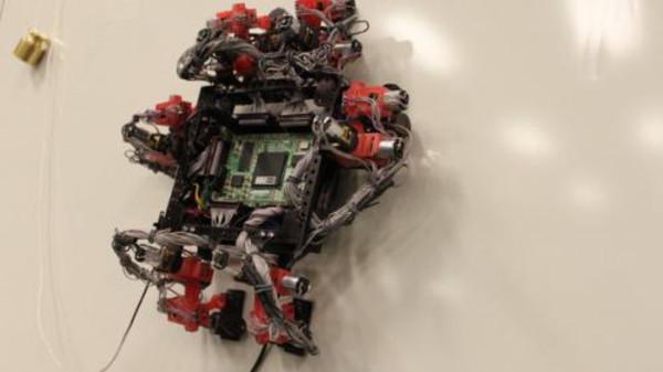 سحلية آلية إلى الفضاء قريباً للقيام بمهام الصيانة