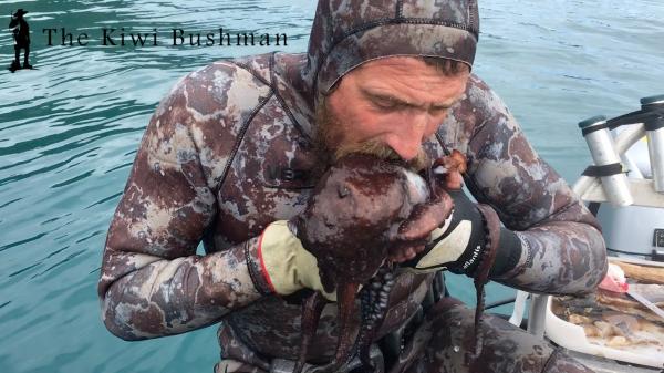 بالفيديو: غطاس نيوزيلندي يقتل أخطبوطاً بأسنانه