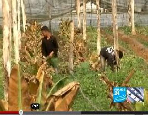 ظروف عصيبة بسبب برودة الطقس