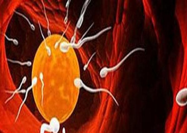 دوالى الخصية السبب الرئيسى وراء تشوه الحيوانات المنوية