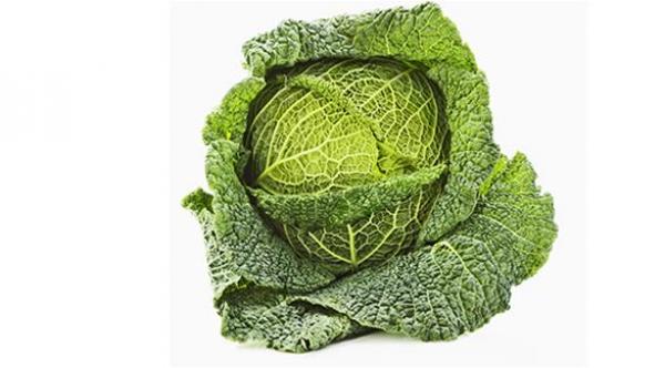 السبانخ والكرنب الأفضل لمرضى عدم تحمل اللاكتوز