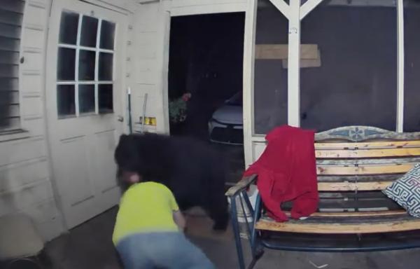 يصارع دبا ضخما  كاد يفتك بكلبه الصغير (فيديو)