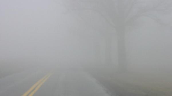 نصائح ذهبية للقيادة أثناء المطر الغزير والضباب الكثيف