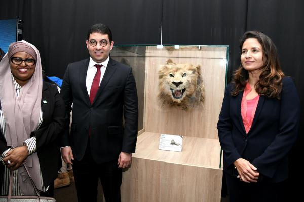 يمتد "زئيره" لآلاف السنين.. وزارة الثقافة تكشف لأول مرة تفاصيلَ تخصّ "أسد الأطلس" المغربي