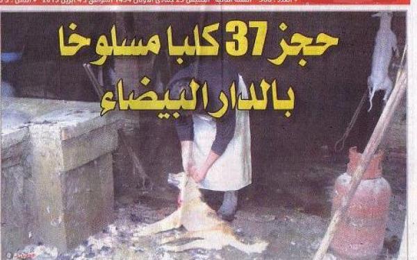 بالفيديو ....الحكومة تنفي خبر لحم الكلاب المذبوحة بالدار البيضاء