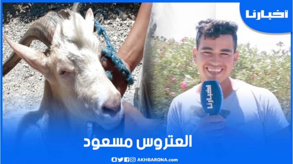 العتروس "مسعود" الذي أشعل ثمنه سوق تطوان وصاحبه: مغاديش نبيعو هذا فحال خويا الصغير