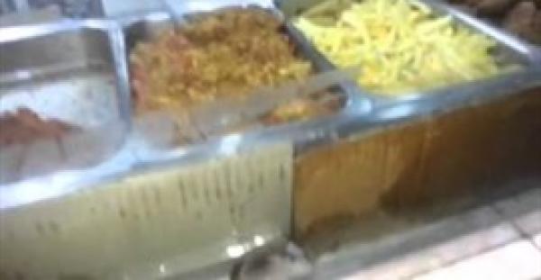 بالفيديو.. فأر يتجول بين الأطعمة بأحد المطاعم الشهيرة