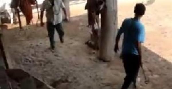 بالفيديو.. ثور ينتقم من شاب حاول ذبح آخر