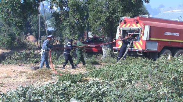 بالصور..مستجدات عملية إخماد حريق إحدى غابات العرائش